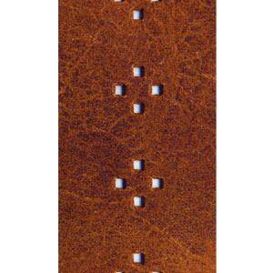PLANET WAVES 25PRF02    , , , Brown Diamonds