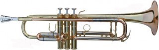 AMATI ATR 313BR-OT -  ,  FESTIVAL,  Bb,