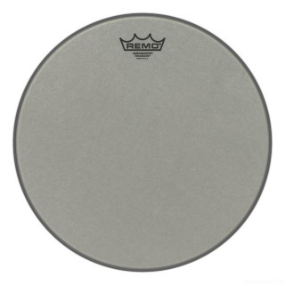 REMO RA-0016-SS Batter, Ambassador, Renaissance, 16 