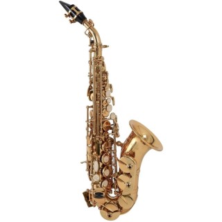 ROY BENSON SG-302 -   Bb  