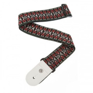 PLANET WAVES 50G01    , 50,  Hootenanny 2