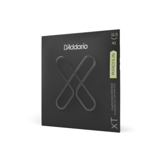 D ADDARIO XTM11541 -   