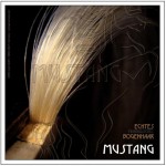 GEWA Mustang Bow Hair Extra Strong 450922 - ����� ���  ������ �������/�����, ���������