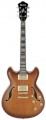 IBANEZ AS93 VLS - ���������������� �������������