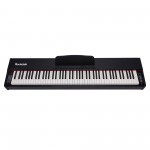 ROCKDALE Keys RDP-3088 - �������� �������, 88 ������