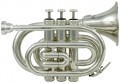 ROY BENSON PT-101S Bb - ����� ��������� (���� �������)